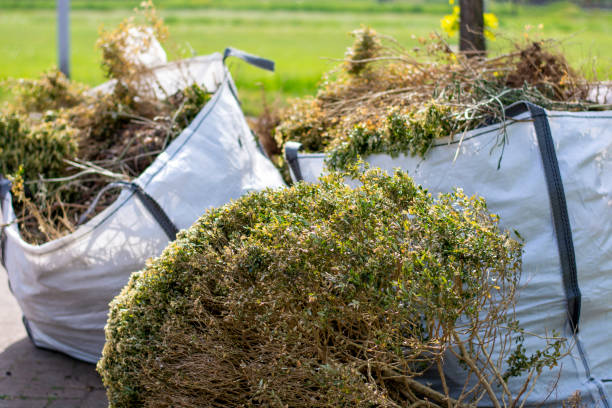 Best Same-Day Junk Removal Services  in Palmer, TX